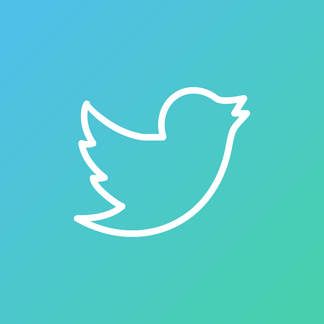 Quels sont les meilleurs outils de gestion de médias sociaux disponibles ?